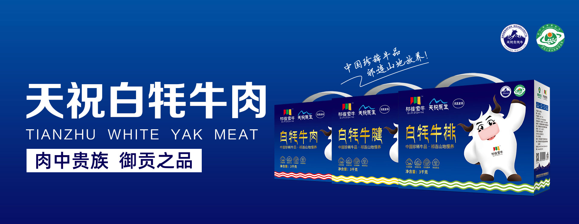首页轮换图